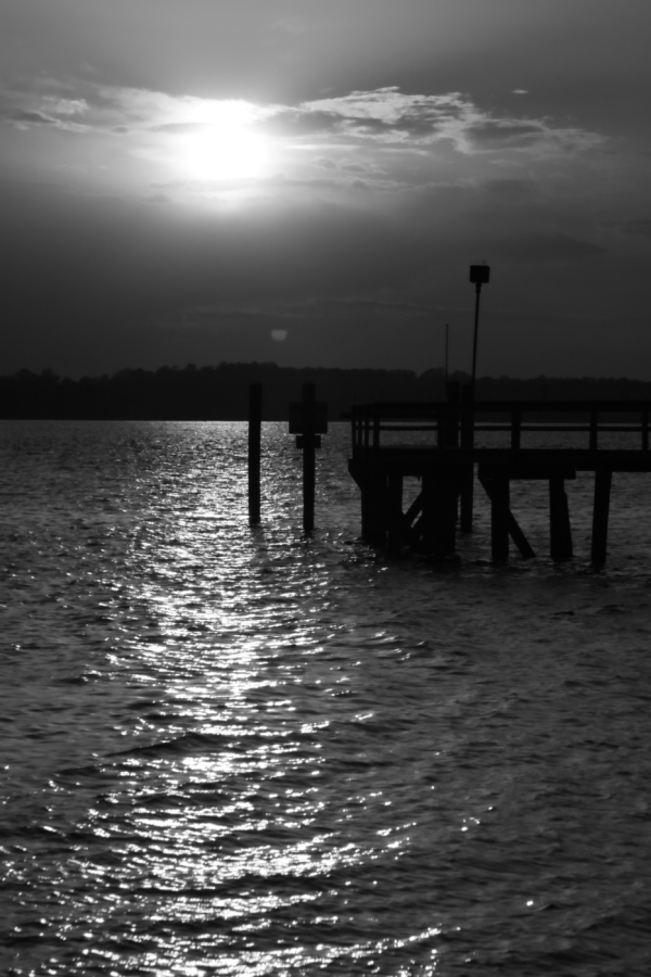 2010 04 22 IMG 9999 132